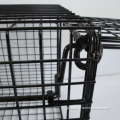 Medium Animal Cage Trap Black Powder Coated Metal Trap Manufactory